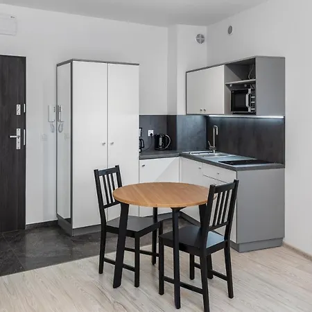 Sun & Snow Mountain Apartment Swieradow-Zdroj